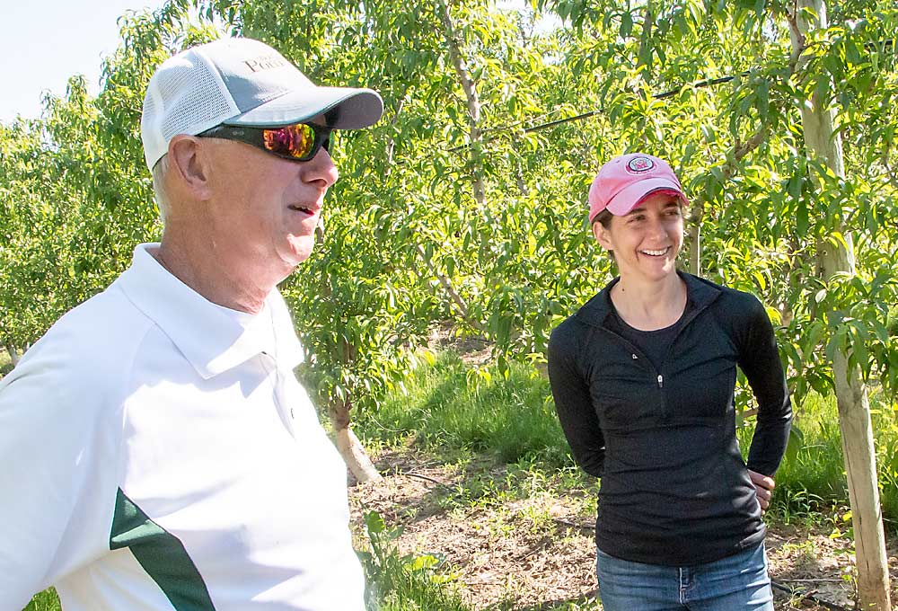 Schwallier, left, with Anna Wallis, who succeeded him as MSU extension educator for the greater Grand Rapids region. They were observing the results of a chemical peach thinning trial in June. (Matt Milkovich/Good Fruit Grower)