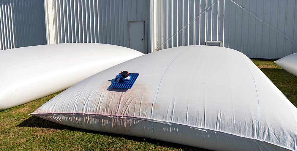 These single-use wine bladders each hold 6,000 gallons. For $400, that’s a worthwhile investment in flexibility, Miller said. (Kate Prengaman/Good Fruit Grower)