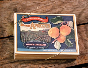 Andy Mariani dries and packs his own apricots and sells them through his farm store and on-line sales. (Melissa Hansen/Good Fruit Grower)