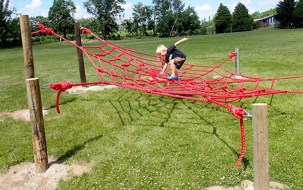 New offerings keep customers coming back to Armstrong Apples Orchard and Winery in Armstrong, Wisconsin. Here, Winston Fox tries out the new climbable spiderweb that his parents added in 2022. Chad Fox, co-owner, said he consults his eight children about what looks like fun. (Leslie Mertz/for Good Fruit Grower)