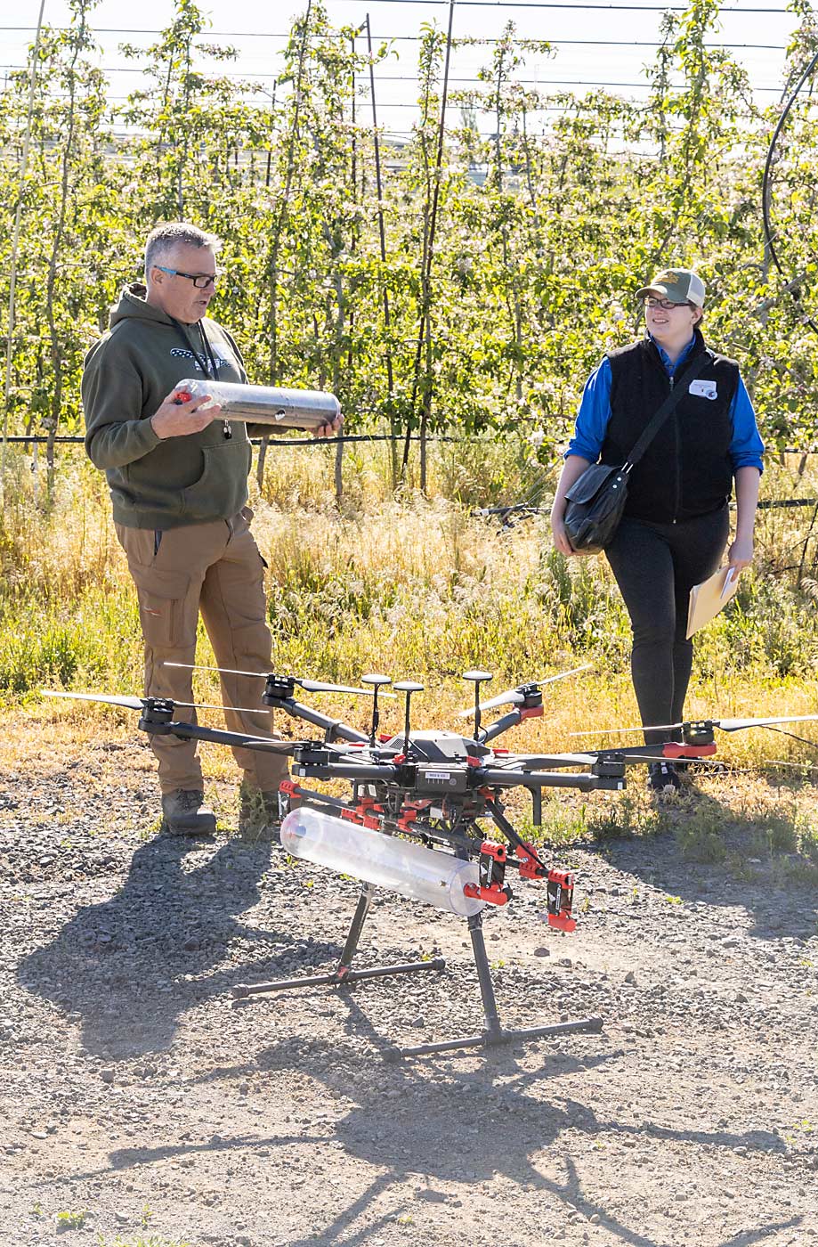 Chuck Weaver of G.S. Long explains how the Parabug drone can apply different rates and sizes of natural enemies before a demonstration during the beneficial insect tour organized by the Entomological Society of America in May. (Kate Prengaman/Good Fruit Grower)