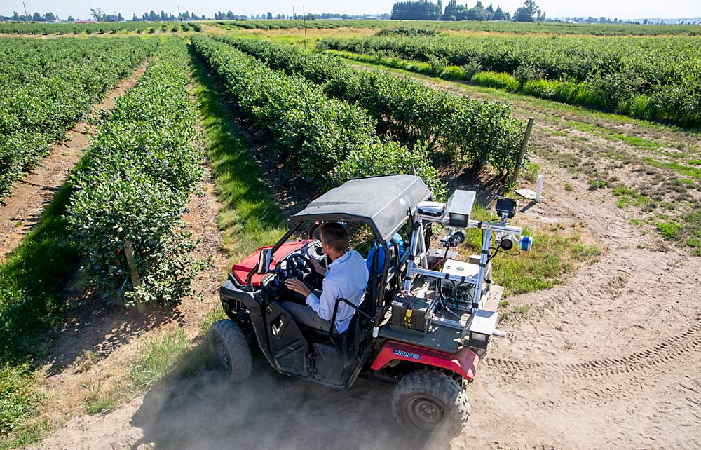 Funded by industry grants, Mantle’s scans are a first step to creating blueberry fields that function as experimental grounds for technology, much like the tree fruit industry’s smart orchards. (Ross Courtney/Good Fruit Grower)