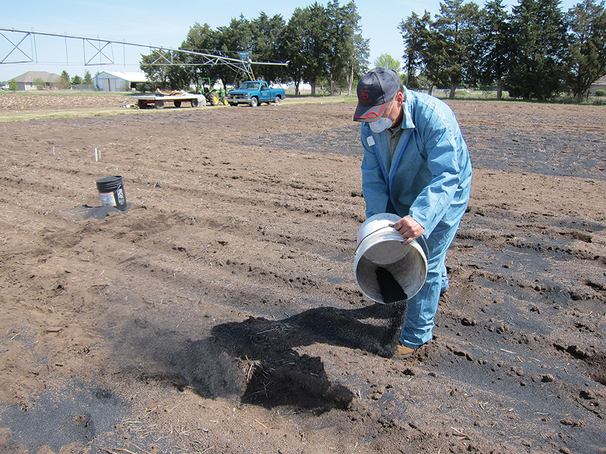 A worker spreads biochar on a research plot at Iowa State University. The material increases waterholding capacity. (Courtesy Ajay Nair)