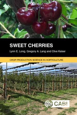 Sweet Cherries book cover