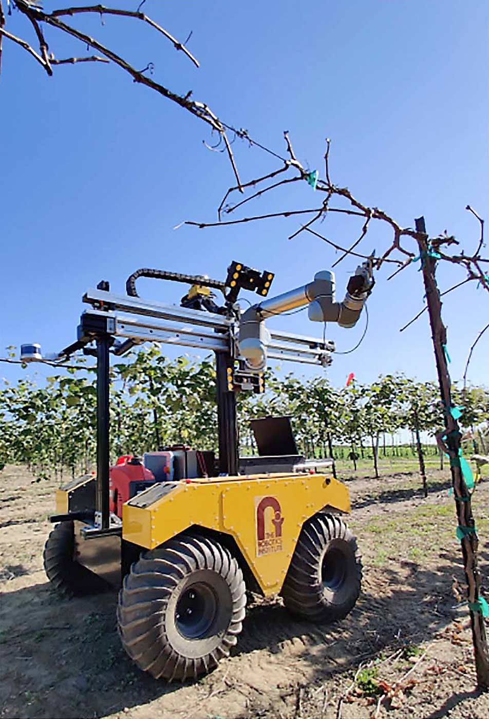 Carnegie Mellon University robotics engineer Abhi Silwal and Cornell AgriTech viticulturist Terry Bates are developing a fully autonomous grapevine pruning robot they call “Bumblebee,” seen here at Cornell Lake Erie Research and Extension Laboratory. (Courtesy Terry Bates/Cornell University)