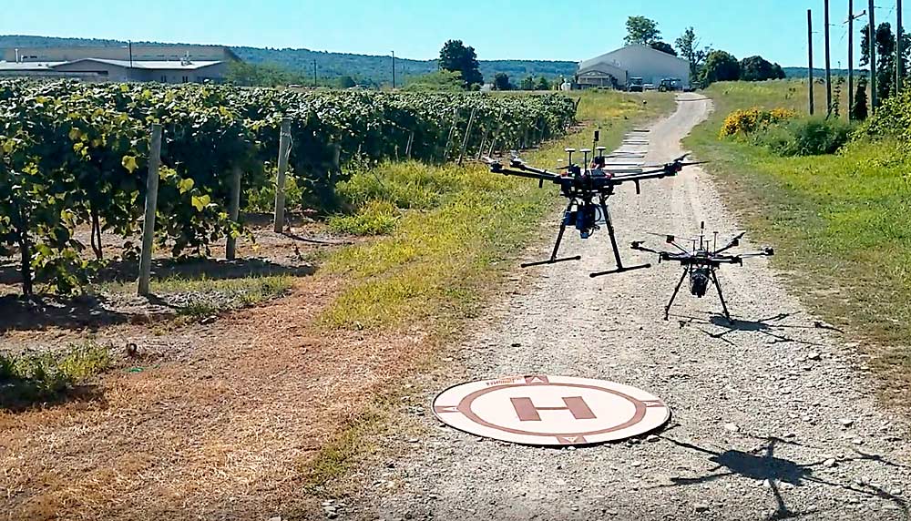A drone carrying hyperspectral sensors collects data over a New York Concord grape vineyard this fall to see if the sensors can pick up on nutrient deficiencies —part of a new collaboration called High-Resolution Vineyard Nutrient Management that includes researchers at Cornell University and the Rochester Institute of Technology, who collected this field data, and five other institutions, all led by Washington State University. (Courtesy Terry Bates/Cornell University)