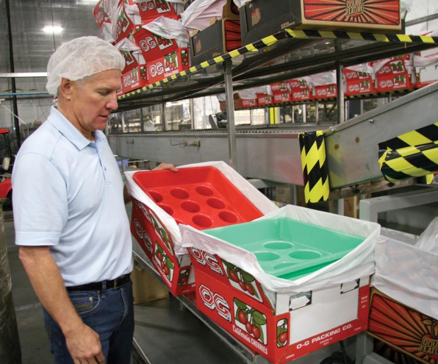 These red and green plastic molds are berry baggers, a device patented by O-G Packing. The molds come in three sizes and reduce the handling needed to fill catch bags and place in shipping containers. Bags fit on the bottom of each funnel hole. When the mold is lifted off the box, all the bags are nicely nestled in the shipping container.