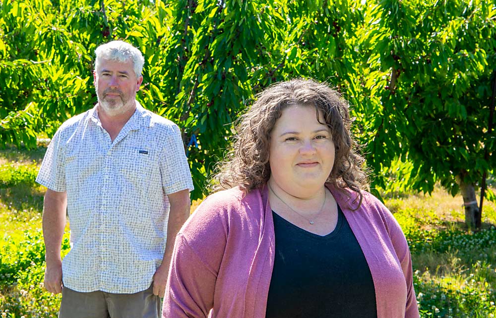 Allison Schrader, right, and her father, Todd Cameron, owners of Cameron Nursery, stand in an orchard near Prosser, Washington, in June. (Ross Courtney/Good Fruit Grower)