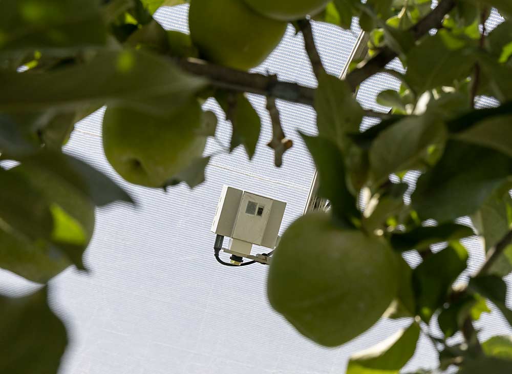 This sensor contains both a thermal camera and an RGB camera, which together are used to see fruit, assess fruit size and sun exposure, and record the maximum temperatures on those areas of exposure, which could more precisely guide cooling needs. (Kate Prengaman/Good Fruit Grower)