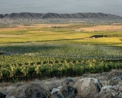 The view from Longwinds Vineyard on Red Mountain. (Courtesy Duckhorn Wine Company)