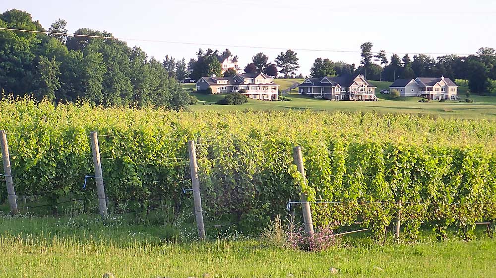 Scenes such as this are increasingly common in Northwest Michigan, as residential developments spring up alongside farms north of Traverse City. Development in long-standing agricultural communities is driving up farmland prices. (Leslie Mertz/for Good Fruit Grower)