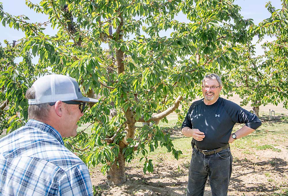 Don Olmstead Jr., right, and his son, Don Olmstead III, discuss the challenges facing the cherry industry in April at their family’s orchard in Grandview, Washington. Olmstead Jr. urges younger growers to get involved in industry boards and associations to learn a broader perspective. His son has replaced him on the Washington State Fruit Commission board. (Ross Courtney/Good Fruit Grower)