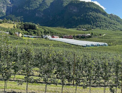 Touring Norway’s fruitful fjords