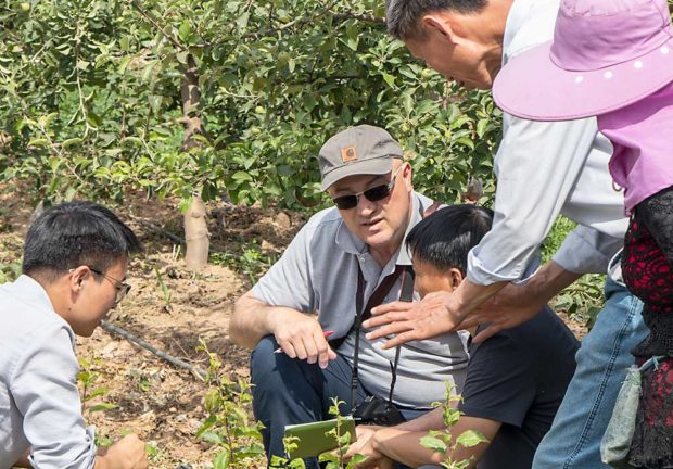 Washington State University’s Stefano Musacchi discusses tree training with local growers and government agricultural officials in an orchard north of Yuncheng in the Shanxi Province of China (Courtesy Mike Willett/Washington Tree Fruit Research Commission)