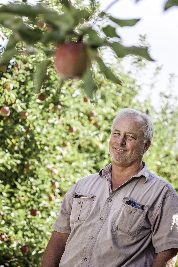 Steve Chinchiolo has found success growing conventional and organic apples and cherries in northern California. He’s looking to expand his organic apple production.  Photo by TJ Mullinax