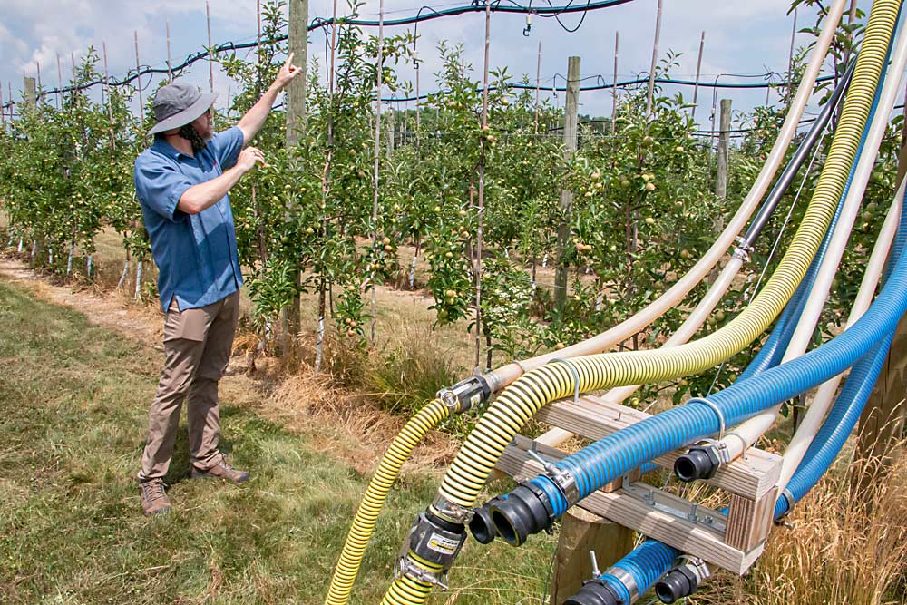 Matt Grieshop, who has led the solid set canopy delivery system project for nearly a decade, shows the linear version of the system in action during a demonstration in July 2020 at Michigan State University’s Clarksville Research Center. A commercial system wouldn’t use so many hoses, but Grieshop’s team uses extra hoses to control specific sections of the system for research purposes. (Matt Milkovich/Good Fruit Grower)