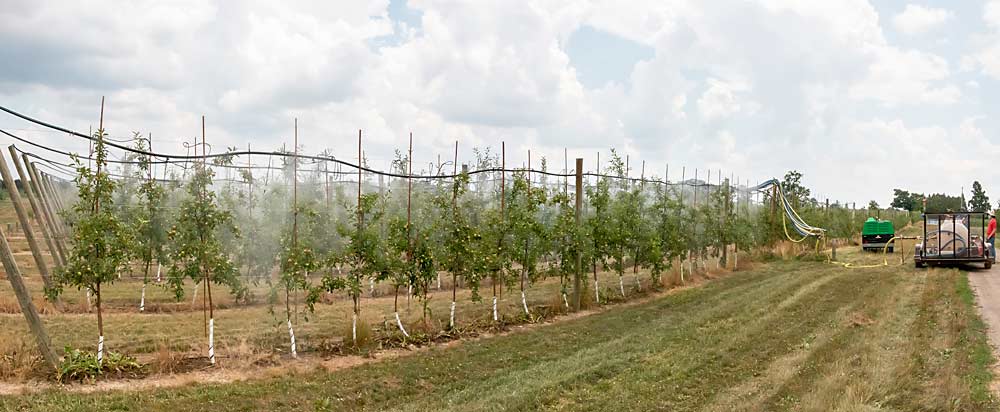 The solid set canopy delivery system, SSCDS, sprays water throughout a portion of a half-acre apple block at Clarksville Research Center during the demonstration. (Matt Milkovich/Good Fruit Grower)
