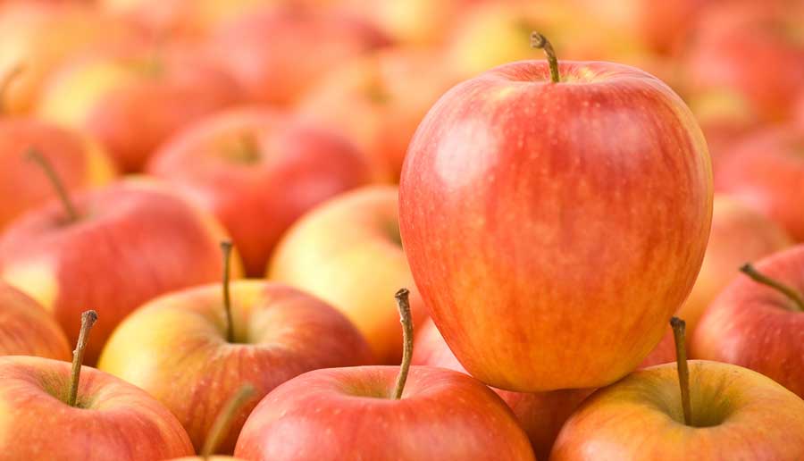SweeTango demand boosts apple's sales