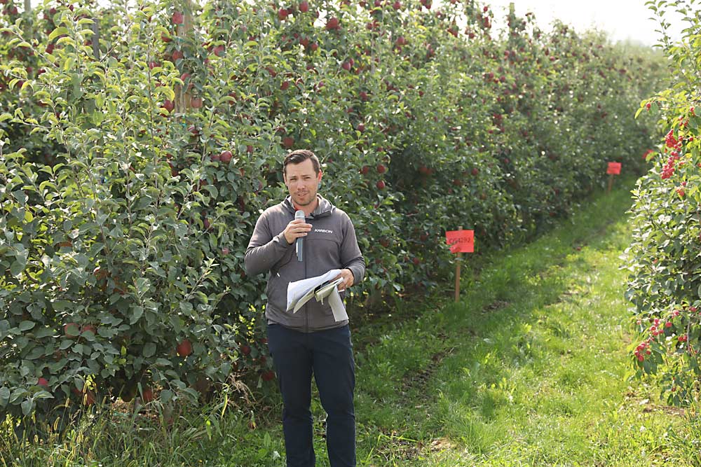Lee Kalcsits, WSU endowed chair for environmental physiology, discusses the findings from a trial of WA 38 on Geneva rootstocks, most not yet commercialized. Several new selections show more consistent cropping from year to year than industry standard G.41, he said. (Kate Prengaman/Good Fruit Grower)