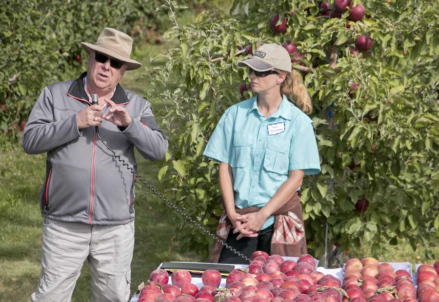 Lynnell Brandt, left, president of Proprietary Variety Management, discusses licensing and grade standards of Cosmic Crisp apples during a field day in September in Quincy, Washington. At right is Ines Hanrahan, project manager for the Washington State Tree Fruit Research Commission. (Ross Courtney/Good Fruit Grower)