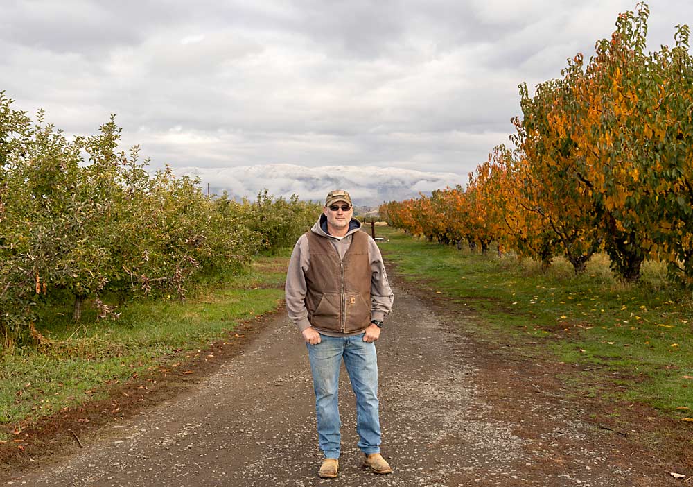 Washington state overtime regulations are now hampering growers’ ability to rush harvest to beat a hard freeze at the end of the season, according to grower Chuck Turner, who also serves as president of the board of the Cowiche Growers cooperative. (Kate Prengaman/Good Fruit Grower)