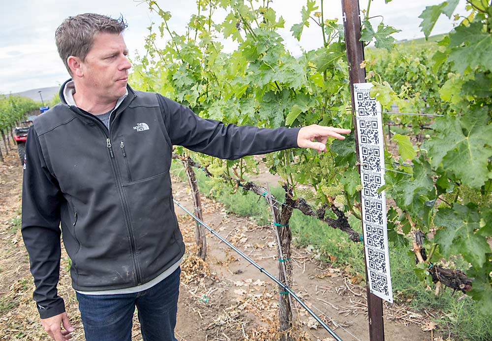 Beightol shows the QR codes the Flash uses in the vineyard to track block and location. (Ross Courtney/Good Fruit Grower)