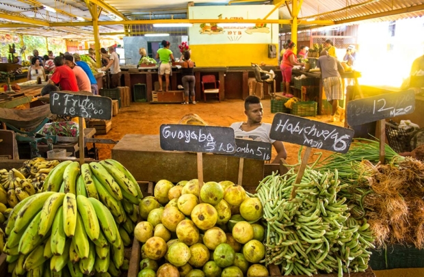 At a market in Havana, this vendor seems accustomed to slow sales. Local fresh produce such as bananas, guava and other fruit are sold to consumers at prices usually set by the government so people earning low wages — the average wage is $20 to $30 a month — can eat. But because of continuing trade barriers and poverty, it’s difficult to see how Cubans could be buying fruit from the U.S. anytime soon. (O. Casey Corr/Good Fruit Grower)