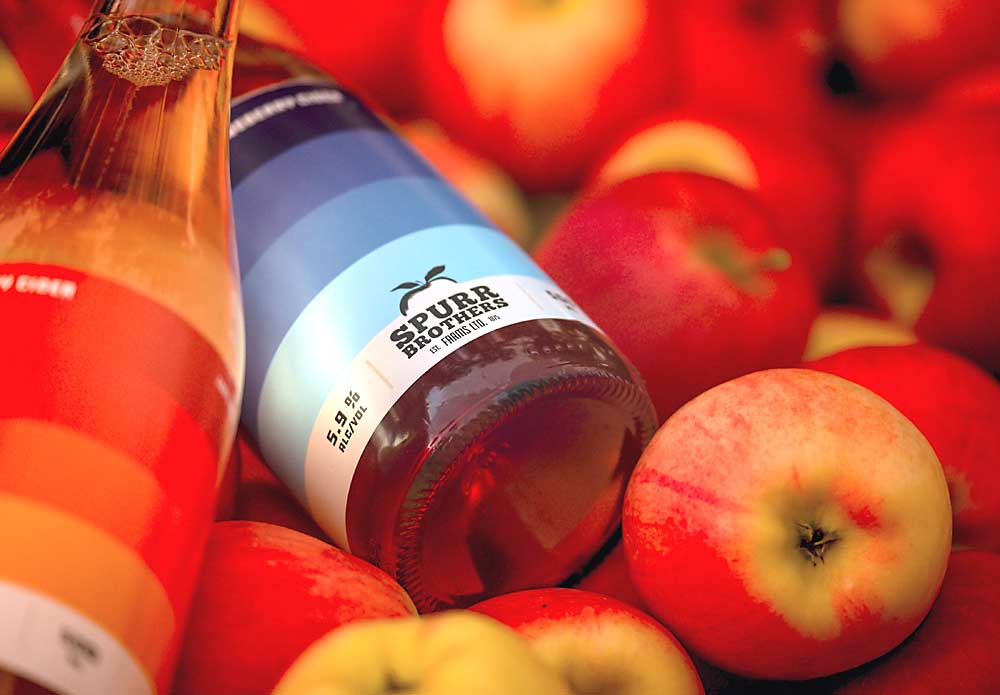 Wild Blueberry Cider, one of several fruit-based hard ciders made by Spurr Bros. with fruit grown on its farm. (Courtesy Tim Foster for Spurr Brothers)