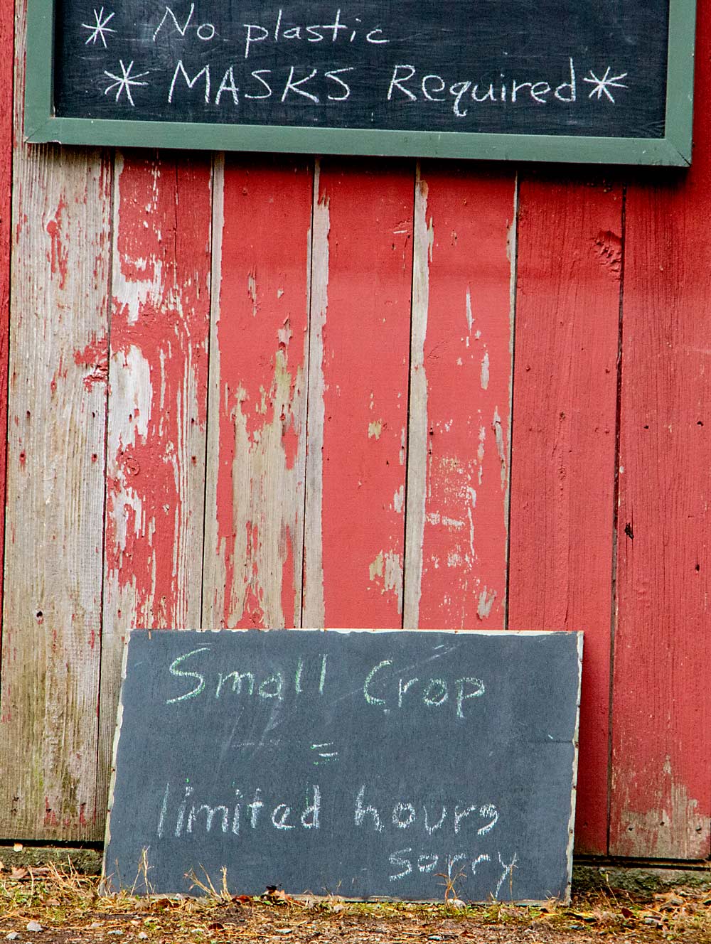 Market signs at the Doud farm last October. A May freeze killed nearly 90 percent of their tree fruit last year, so they kept their market open only two days a week in the fall. And because of the coronavirus, masks were required. (Matt Milkovich/Good Fruit Grower)
