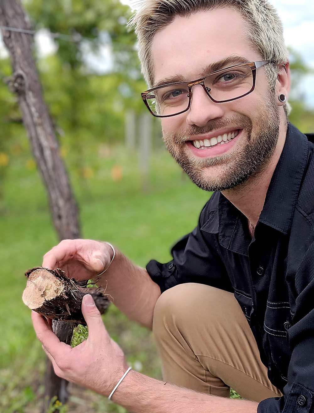 University of Minnesota graduate student Davy DeKrey shows a grapevine trunk sample with both winter injury cracking and fungal infection. Growers may confuse the dieback symptoms, he said, but winter injury, like pruning wounds, can create entry points for the pathogens that cause the grapevine trunk disease complex. (Courtesy Davy DeKrey/University of Minnesota)