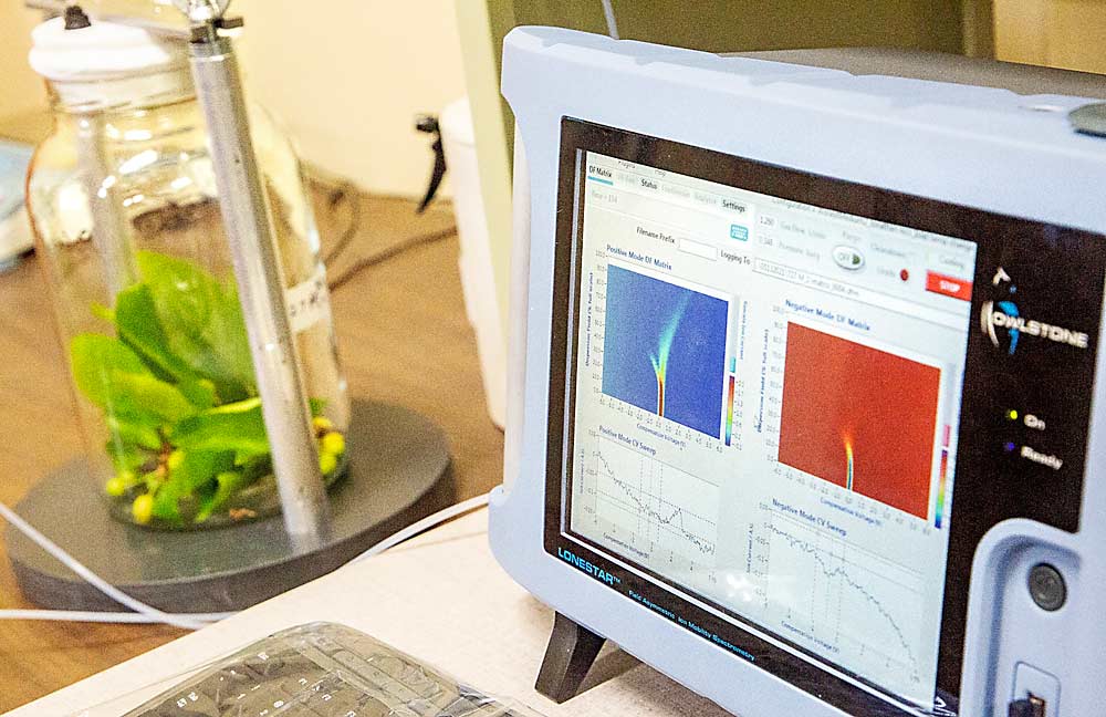 Technology known as a “digital nose” tests samples of cherries infected with little cherry disease at the Washington State University Center for Precision and Automated Agricultural Systems in Prosser in May. The tool detects and maps the combination of volatiles emitted by the cherry samples, attempting to find a pattern that can reliably and rapidly distinguish between diseased and healthy plants. (Ross Courtney/Good Fruit Grower)