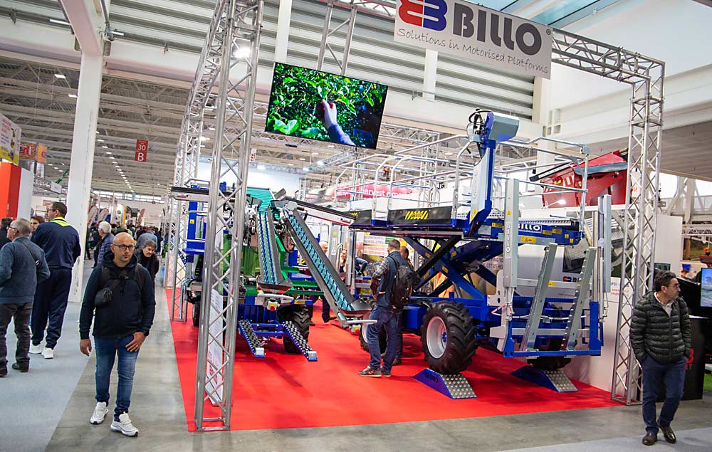 Keim narrowed his list down to two favorites, chosen for their ability to self-level, handle bins, drive slowly, and other features. Also, both allow workers on the platform and on the ground to harvest onto conveyors that lead to the same bins. The Italian model Billo Tapis, the platform on the left, displayed at EIMA, is one of them. (Ross Courtney/Good Fruit Grower)