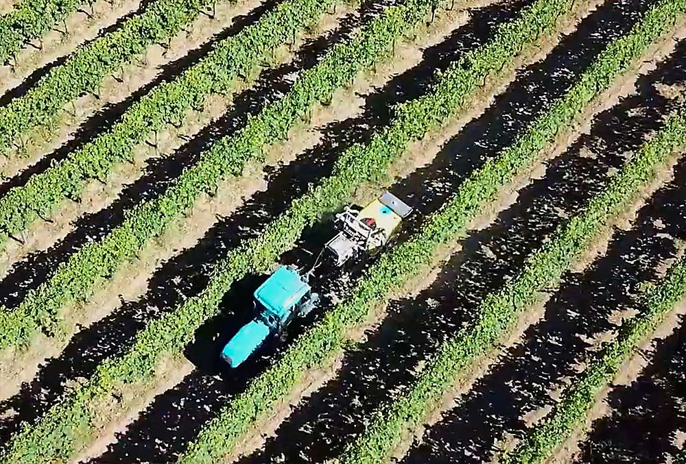 A sprayer equipped with an ozone generator treats a vineyard in Italy. (Courtesy OXIR)