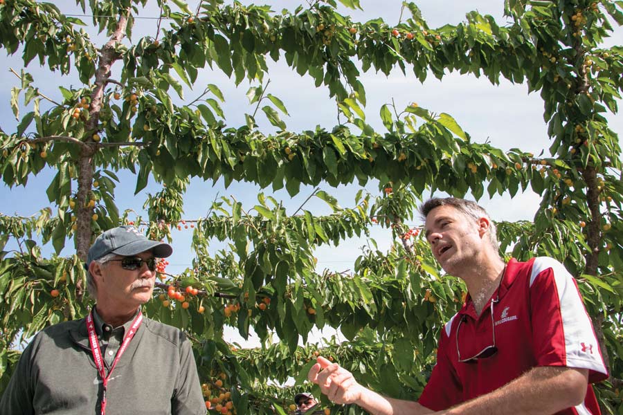 Matt Whiting, right, Washington State University research horticulturist, discusses the intricacies of raising the Early Robin cherry variety with grower Denny Hayden during a May tour in Pasco, Kennewick and Benton City, Washington. The Early Robin is one of the first blush varieties to ripen and is rising in popularity. (Ross Courtney/Good Fruit Grower)