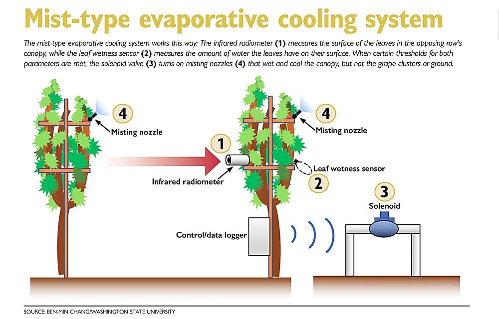 Mist-type evaporative cooling system. Source: Ben-Min Chang/Washington State University