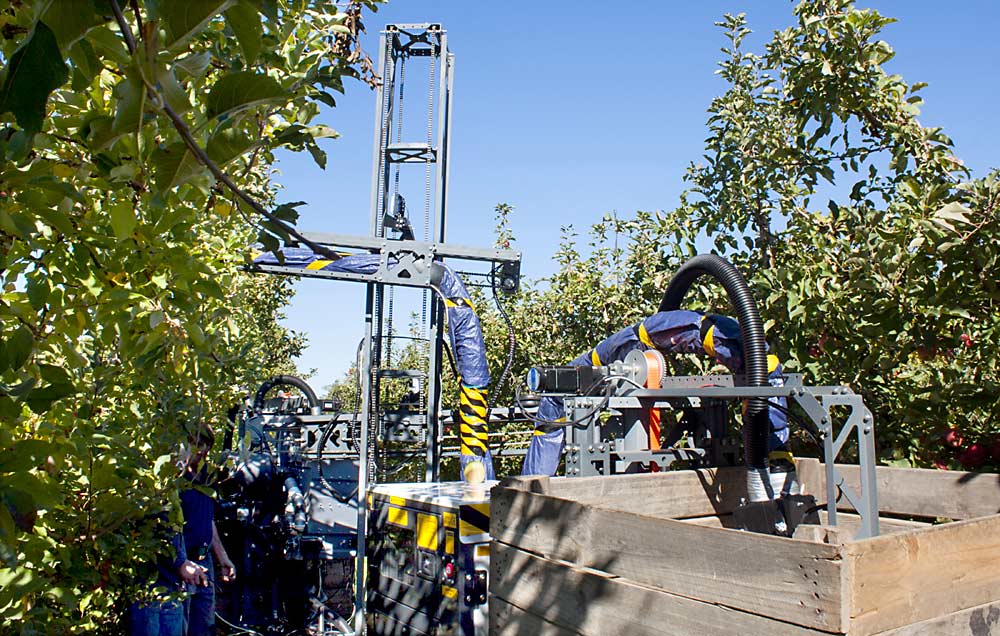 Australian startup Ripe Robotics is developing an autonomous apple harvester that uses soft suction to pick fruit and deliver it to the bin. Participating in the Global Harvest Automation Initiative with other ag tech companies just makes sense, said CEO Hunter Jay, to learn from other innovators, connect to growers who may want to host trials in the future, and potentially take advantage of shared components as they commercialize their technologies. (Courtesy Ripe Robotics)