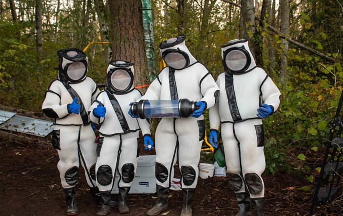 The Washington State Department of Agriculture’s Asian giant hornet eradication team, wearing hornet-proof protective suits, poses with the 85 live hornets they vacuumed from a tree-cavity nest in Northwest Washington on Oct. 24. (Courtesy Washington State Department of Agriculture)