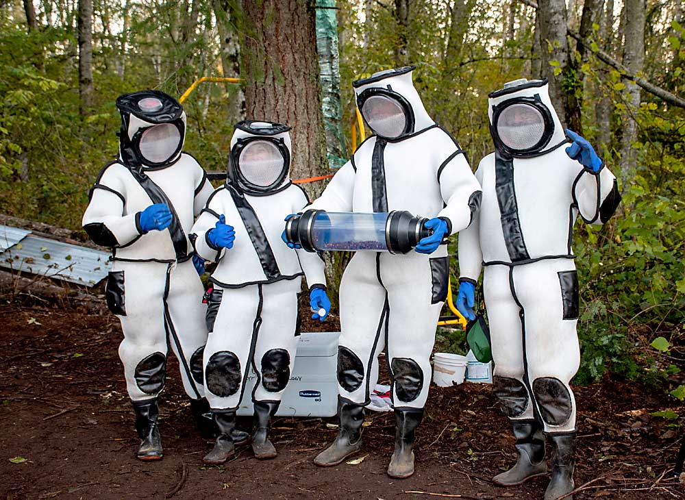Wearing hornet-proof suits, members of the WSDA team pose with the vacuum canister containing dozens of Asian giant hornets they extracted from the first nest detected and removed in Washington state in 2020. (Courtesy Karla Salp/Washington State Department of Agriculture)