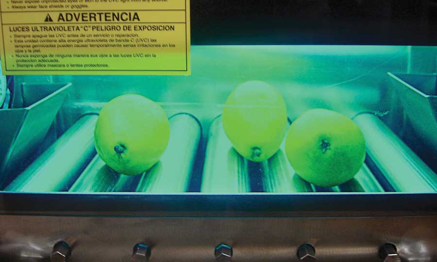 Pathogens on the surface of organic pears were significantly reduced after exposure to UV-C light. (Courtesy Roopesh Syamaladevi/Washington State University)
