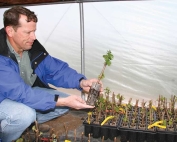 Jeff Sample sells certified grape plant material from Terroir Nouveaux Nurseries in Sunnyside, Washington. (Melissa Hansen/Good Fruit Grower)