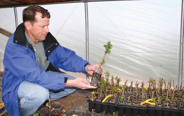Jeff Sample sells certified grape plant material from Terroir Nouveaux Nurseries in Sunnyside, Washington. (Melissa Hansen/Good Fruit Grower)