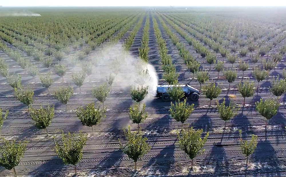 The GUSS, or Global Unmanned Spray System, works its way through a nut orchard in California in 2017. The California manufacturer is building a prototype of a smaller version to work in Pacific Northwest tree fruit orchards. (Courtesy GUSS)