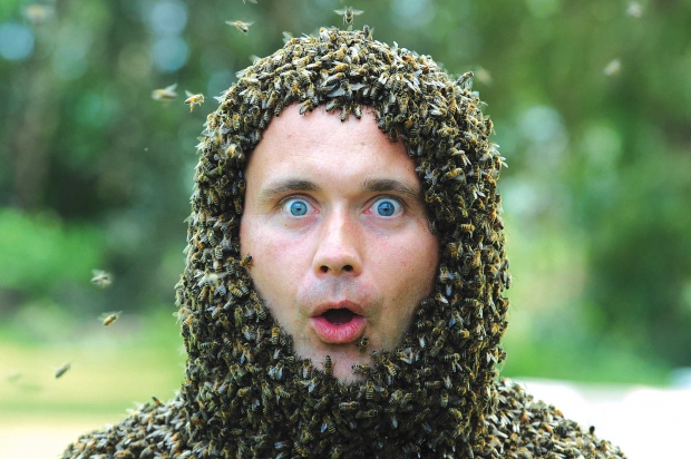 Visiting bee scientist Jakub Gabka of Poland at bee beard event at  the Harry H. Laidlaw Jr. Honey Bee Research Facility at UC Davis. (Courtesy Kathy Keatley Garvey)