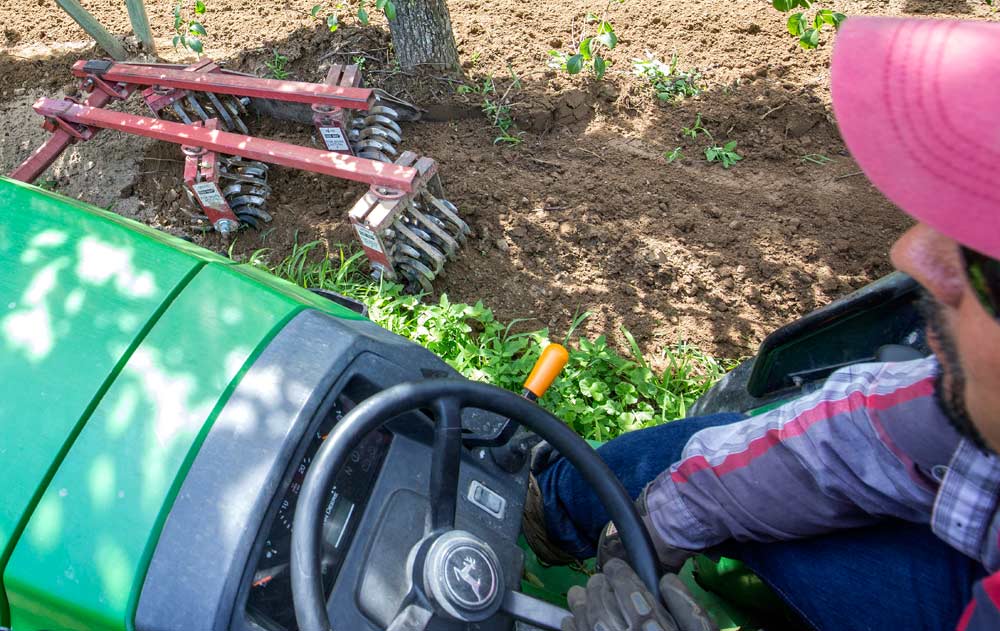 Fixed-arm rolling cultivators — like this Wonder Weeder — are the most common method of weed management in Northwest organic orchards. But other implements may be needed if trees in the row are closer than 4 feet apart. (TJ Mullinax/Good Fruit Grower)