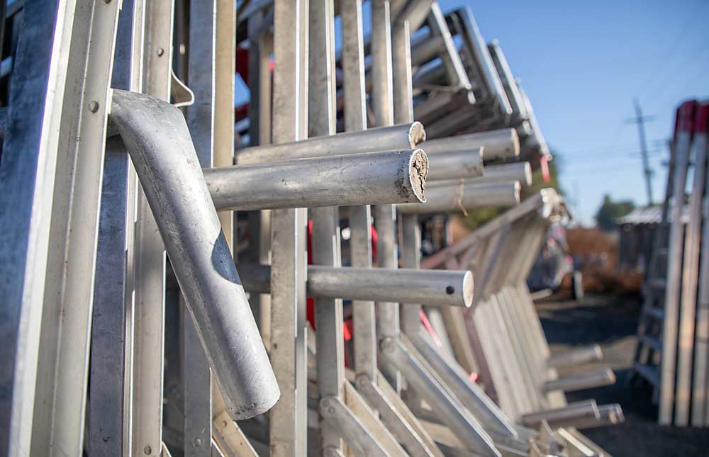 Orchard ladders take a beating. Rich Shenyer, owner of Grandview Ladders in Washington’s Yakima Valley, has trouble keeping up with repairs and orders for new ladders. (Ross Courtney/Good Fruit Grower)