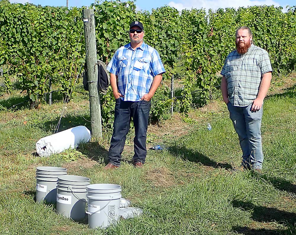 While visiting Grishaw Vineyard on the Old Mission Peninsula north of Traverse City, Michigan, viticulturist Dave Bos, left, of Bos Wine and agronomist Theo Medendorp of Morgan Composting Inc. extol the virtues of good-quality compost and how to use it to improve soil health. (Leslie Mertz/for Good Fruit Grower)