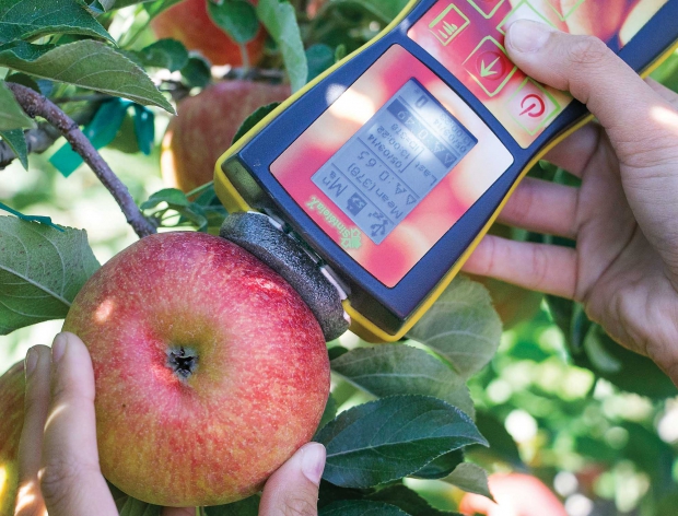 The Washington Tree Fruit Research Commission found that a foam cushion is needed to act as a visor for the DA meter when taking readings in the sun. (TJ Mullinax/Good Fruit Grower)