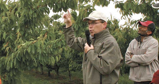 Jerry Haak explains his cherry training system during a summer tour at his orchard in 2011. (Geraldine Warner/Good Fruit Grower)