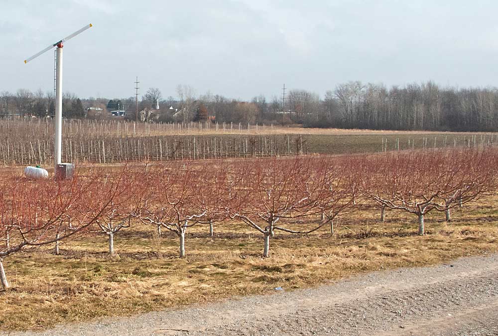 A frost fan looms over peach trees at Rennhack Orchards. Rennhack bought the fan in 2012, after devastating freezes wiped out most of the state’s fruit that year. After another bad freeze damaged crops in West-central Michigan in 2017, other growers in the region did the same. (Matt Milkovich/Good Fruit Grower)