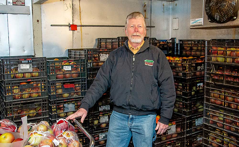 Michigan grower Dave Rennhack surrounded by EverCrisp apples in his farm market’s storage room in March 2020. Rennhack stores and sells EverCrisp apples through June or July, and they still have good flavor and crunch, he said. (Matt Milkovich/Good Fruit Grower)
